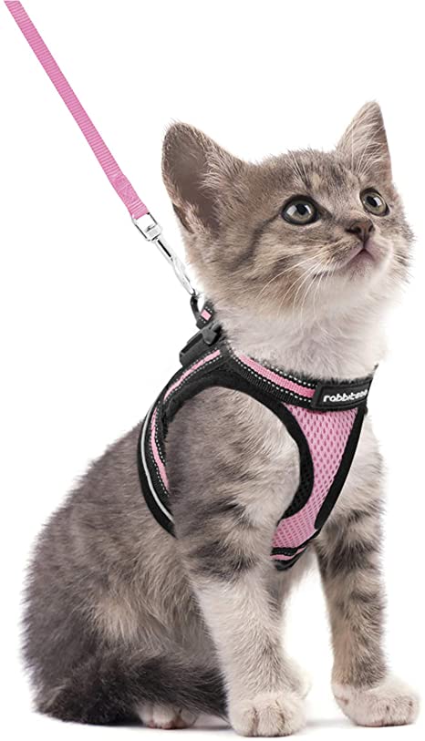 rabbitgoo Cat Harness and Leash Set for Walking Escape Proof, Adjustable Soft Kittens Vest with Reflective Strip for Extra Small Cats, Step-in Comfortable Outdoor Vest Harness, Pink, Small