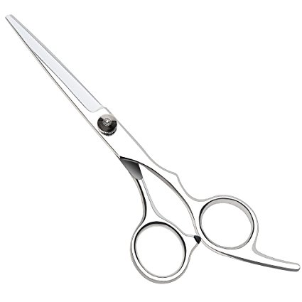 Professional Hairdressing Scissors,Hair Cutting Scissors Shears for Barber Salon - 6" Overall Length with Fine Adjustment Tension Screw 100% Stainless Steel by Ouway