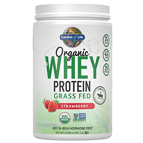 Garden of Life Protein Powder - Organic Whey Protein Powder, Grass Fed, Strawberry, 13.88 oz (393.5g) Powder