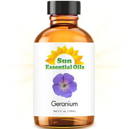 Geranium (Egypt) (Large 4 ounce) Best Essential Oil