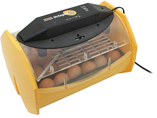 Brinsea Products Manual Egg Incubator for Hatching 24 Chicken Eggs or Equivalent