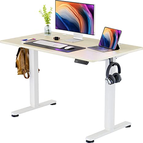 ErGear Height Adjustable Electric Standing Desk, 48 x 24 Inches Sit Stand up Desk, Memory Computer Home Office Desk (Natural)