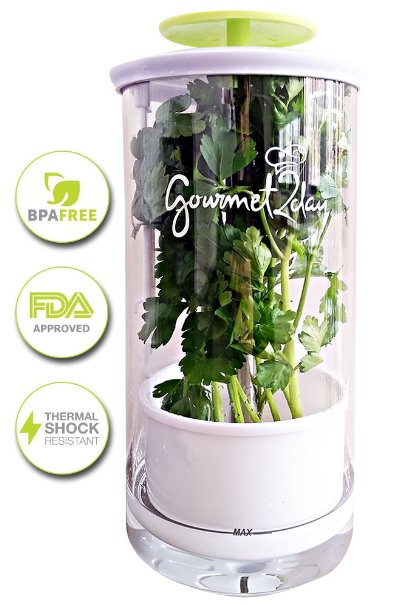 Glass Herb Keeper - Anti-leakage fresh herb container - Free paleo recipe eBook - Herb storage holder keeps herbs fresh and green for up to 2 Weeks