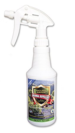 Natural Armor Animal Repellent - Pint - 16 Ounce - Peppermint Scent - Ready To Use - Shake & Go - A Deterrent Spray That Gets Rid Of & Keeps Out Rodents, Animals & Critters