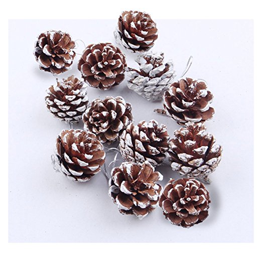 Natural Pine Cones, SOMAN 2.4 Inch Tall Real Snow Pinecones Ornaments for Christmas Decorations Set of 12