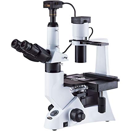 AmScope 40-1000X Inverted Infinity-corrected Phase-contrast Biological Microscope with 30W Illumination   18MP Imaging System