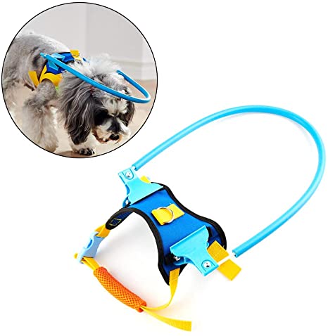 Haploon Blind Dog Harness Guiding Device, Pet Safe Halo Prevent Collision & Build Confidence Blind Dog Accessories