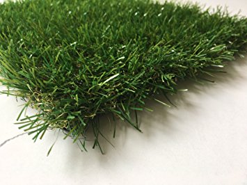 EverGreen Premium Synthetic Turf. Rubber Backed with Drainage Holes/Outdoor/Indoor (6.5'x10')