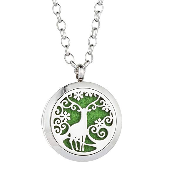 Jenia Essential Oil Diffuser Necklace Aromatherapy Pendant Stainless Steel Locket Jewelry for Women, Kids, Boy, Girl