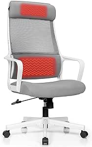 Giantex High Back Mesh Office Chair, Gray & White