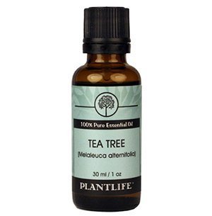 Tea Tree 100% Pure Essential Oil - 30 ml
