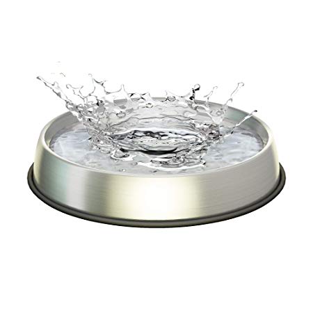 Dr. Catsby Water Bowl, Whisker Friendly, Stainless Steel, Non Skid, Dishwasher Safe, May Also Prevent Acne