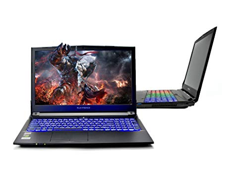 Eluktronics N850EP6 Pro Premium VR Ready Gaming Laptop - Intel i7-8750H Hexa Core Windows 10 Home 6GB GDDR5 NVIDIA GeForce GTX 1060 15.6” Full HD IPS Display 512GB Performance SSD   16GB DDR4 RAM