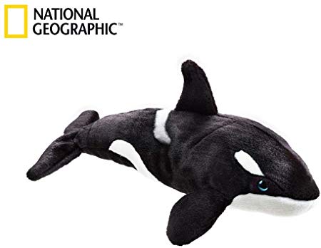 National Geographic Orca Plush - Medium Size
