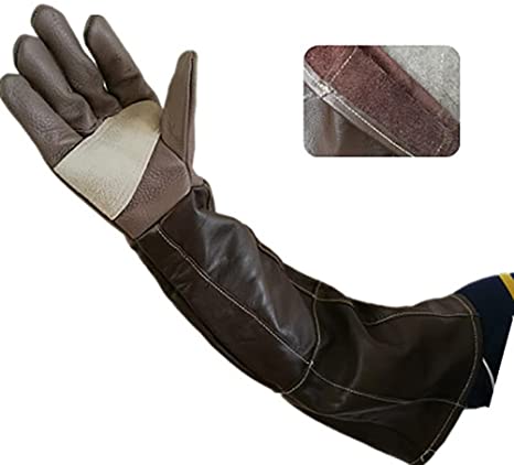 DAN Animal Handling Anti-bite/Scratch Gloves for Dog Cat Bird Snake Parrot Lizard Wild Animals Protection Gloves