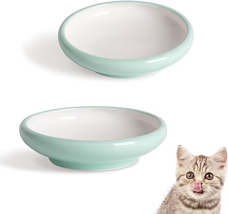 ComSaf Cat Food Water Bowl, Whisker Friendly Cat Bowl Set of 2, Wide Shallow Ceramic Cat Bowl, Non Spill Pet Food Dish for Cat Kitten Small Dog, 10oz (Green)