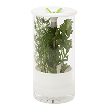 Honey-Can-Do KCH-06398 Glass Herb Preserver, Clear/White