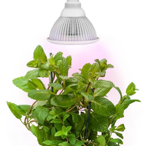 Sandalwood LED Plant Grow Light for Hydroponic Garden and Greenhouse 12W E27 Socket 3 Bands