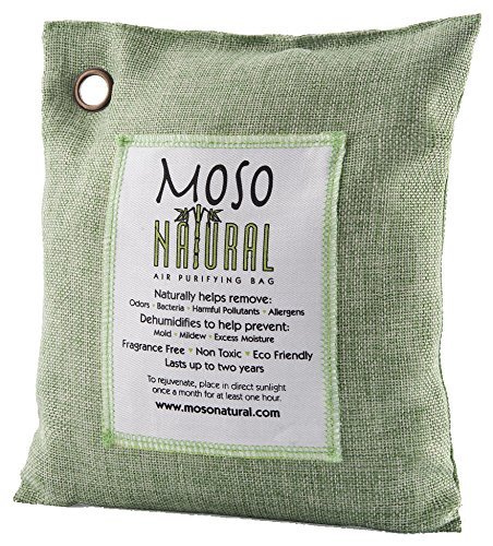 Moso Natural Air Purifying Bag, 500gm, Green
