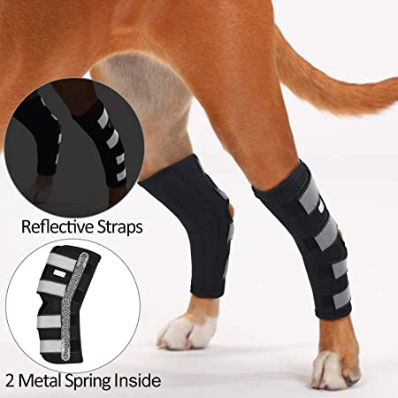 IN HAND Dog Rear Leg Hock Brace, Pair of Canine Dog Leg Joint Wraps Compression Brace Protects Wounds, Heals and Prevents Injuries and Sprains Helps with Loss of Stability Caused by Arthritis