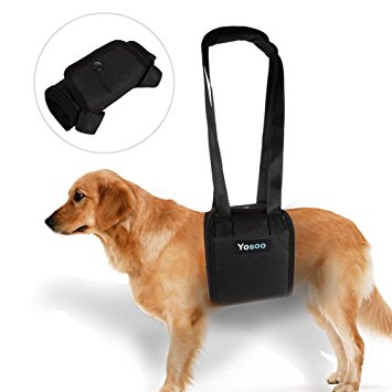 Yosoo Portable Dog Lift Support Harness - Helps Dog With Weak Front Or Rear Legs Stand Up, Walk, Get Into Cars, Climb Stairs For Disable, Injured, Elderly Pet