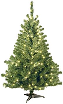 National Tree (KCDR-40LO-S) Kincaid Spruce Tree with 100 Clear Lights, 4-Feet