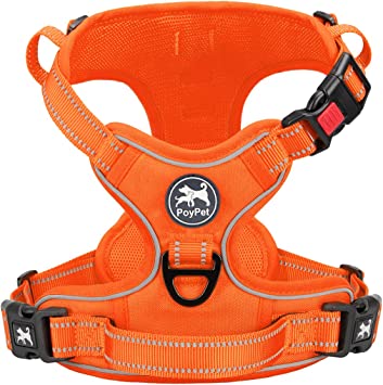 PoyPet No Pull Dog Harness, No Choke Reflective Dog Vest, Adjustable Pet Harnesses with 2 Leash Attachments with Easy Control Padded Handle for Small Medium Large Dogs(Orange Matching Trim,XS)