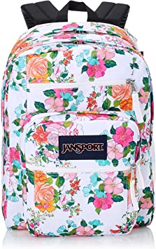 JanSport Big Student, Summer Fields, One Size