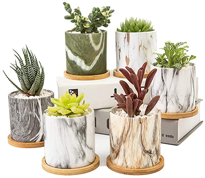 Succulent Plant Pots, Marble Mini 3.2 inch Ceramic Flower Pot with Bamboo Tray, Small Cactus Planter Pots with Drainage Holes, Christmas, Xmas Gift, 6 Pack (Plants NOT Included) (Marble)