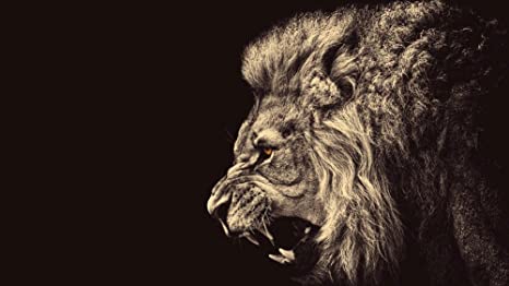 NewBrightBase Fire Lion Fabric Cloth Rolled Wall Poster Print - Size: (43" x 24" / 24" x 13")