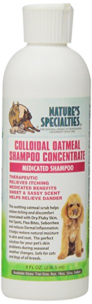 Nature's Specialties Colloidal Oatmeal Pet Shampoo, 8-Ounce