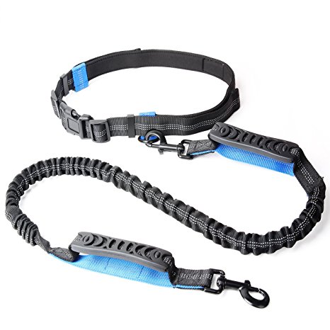 Hands Free Dog Leash Markline - Extendible Shock Absorbing Bungee with Two Rubber Handles, Adjustable Neoprene Padded Waist Belt Up to 47" Waist, Reflective Stitching 4ft Long