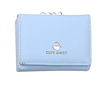 Jastore Girls Womens Small Clutch Leather Purse Cards Holder Wallet