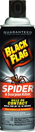 Black Flag Spider and Scorpion Killer Aerosol Spray, 16-Ounce