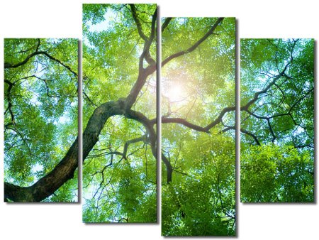 DZL Art H03338 Home DecorationFramed Ready to Hang 48quotW x 32quotH by 4 panels Forest Trees Landscape Painting Art Picture Wall Decor