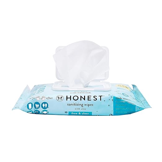 The Honest Company Sanitizing Alcohol Wipes | Kills 99% of Germs, Made With Aloe | Unscented, 50 Count (1 Pack)