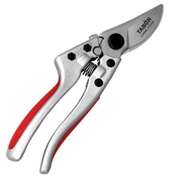 Tabor Tools Professional Pruning Shears, High Quality Chrome Plated Bypass Secateurs for Cutting Flowers, Plants and Small Bushes, Special Design for L and XL Sized Hands.
