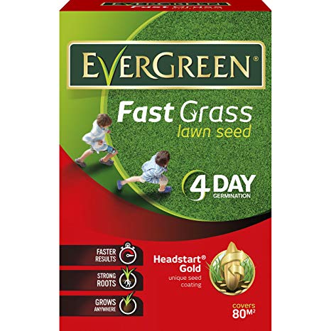 EverGreen Fast Grass Lawn Seed 2.4kg