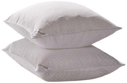 Sealy Posturepedic Allergy Protection Zippered Pillow Protector (Set of 2)