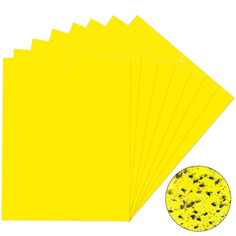 Vascinate 20PCS Yellow Sticky Fly Traps 20x15cm, Dual-Sided Sticky Traps, Fly Paper Stickers, Plant Fly Catchers, Catcher Sticky Board for Flying Plant Insect Aphids, Leafminers (Included Twist Ties)