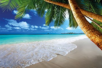 Sandy beach with palm trees and the sea photo wallpaper – paradise beach and palm trees mural – XXL beach wall decoration 82.7 Inch x 55 Inch