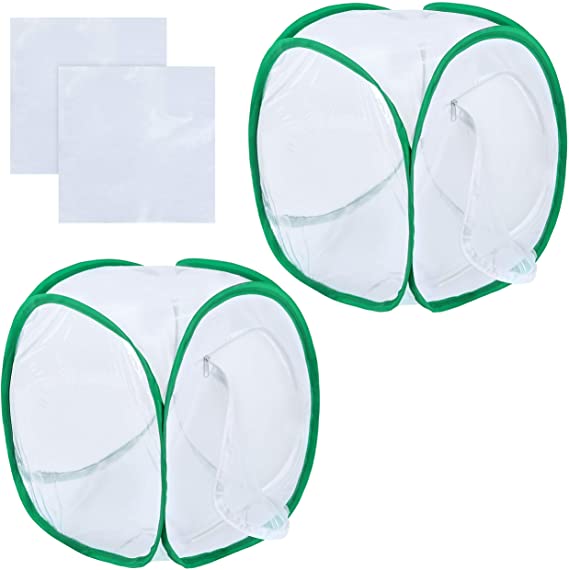 Pllieay 2 Pieces 12 Inch Tall Butterfly Habitat Cage with Clear PVC Film, Collapsible Light-transmitting Terrarium White Insect and Butterfly Net for Kids Raising Insects Outdoor Activities