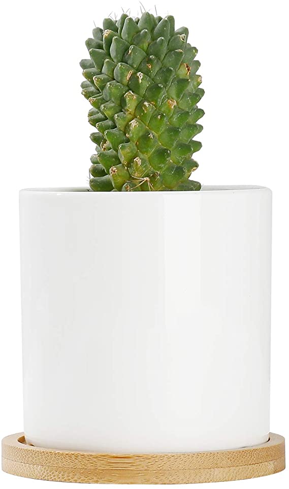 Succulent Plant Pots - POTEY 810 3 Inch Ceramic Planter for Flowers or Cactus with Drainage Hole and Bamboo Tray