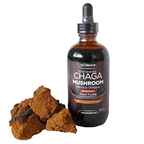 Chaga Mushroom Extract made with Wild Harvested Chaga from Alaska, Dual Extraction, 4 fl.oz.