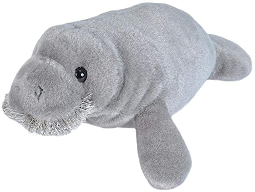 Wild Republic Manatee Plush, Stuffed Animal, Plush Toy, Gifts for Kids, Cuddlekins 10 Inches