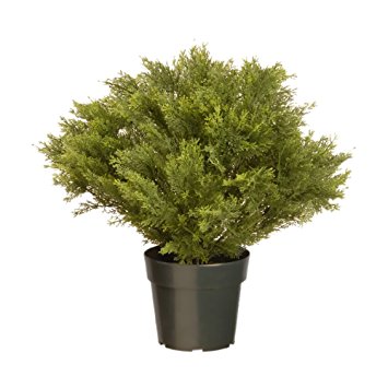 National Tree 24 Inch Globe Juniper Plant in Green Pot (LCB4-24-1)