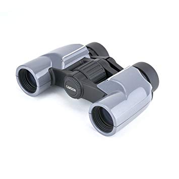 Carson Mantaray 8x24mm Porro Prism Compact Binoculars For Travel, Camping, Hiking, Bird Watching, Sporting Events, Concerts and Outdoor Adventures (MR-824)
