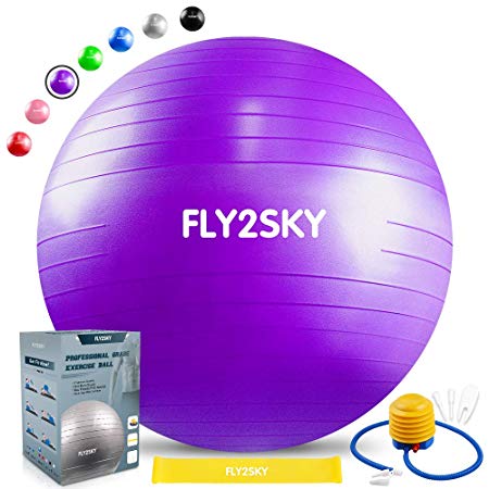 FLY2SKY Exercise Ball Fitness Stability Ball Workout Yoga Ball Chairs for Office Home (45-75cm, 7-Color) Anti-Burst & Non-Slip Gym Ball for Therapy Pilates Birth (Resistance Loop & Quick Pump)