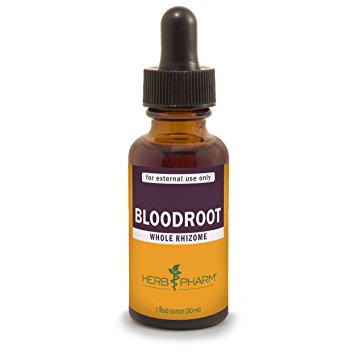 Herb Pharm Certified Organic Bloodroot Extract - 1 Ounce
