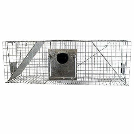 Havahart 998 Large 2-Door Safe Release Humane Live Animal Cage Trap for Raccoons, Opossums, Groundhogs